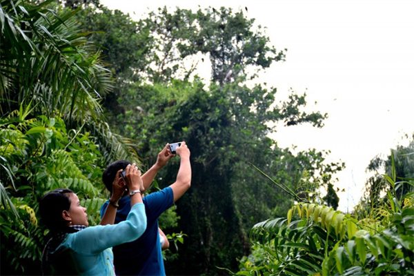 Watch beautiful birds of Vam Ho garden