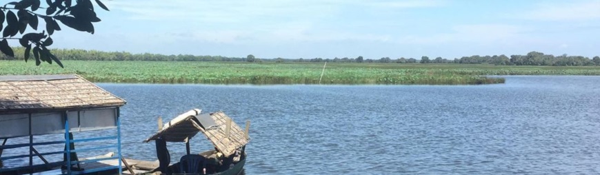 Tram Chim National Park – Top Experiences in the Mekong Delta