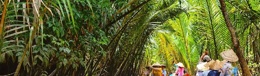 Turtle Island – Top Things to do in Ben Tre