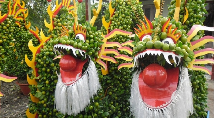 Kumquat trees with dragon dragon shapes in Cai Mon Orchard