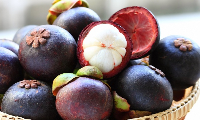 Enjoy mangosteen in Phung Islet's orchards
