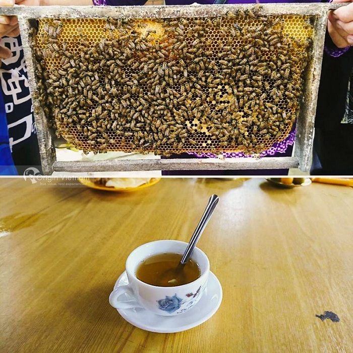 Beekeeping family in Phung Islet