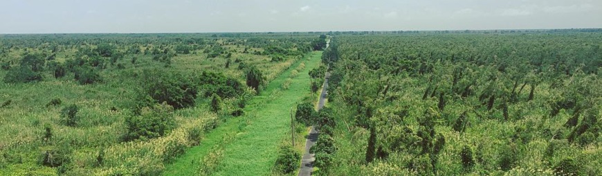U Minh Ha National Park