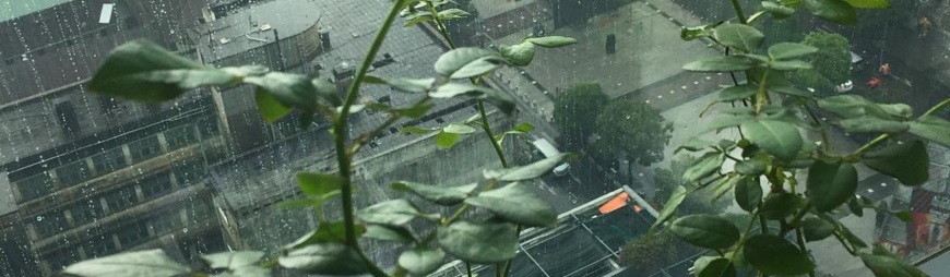 travel to Vietnam in rainy season