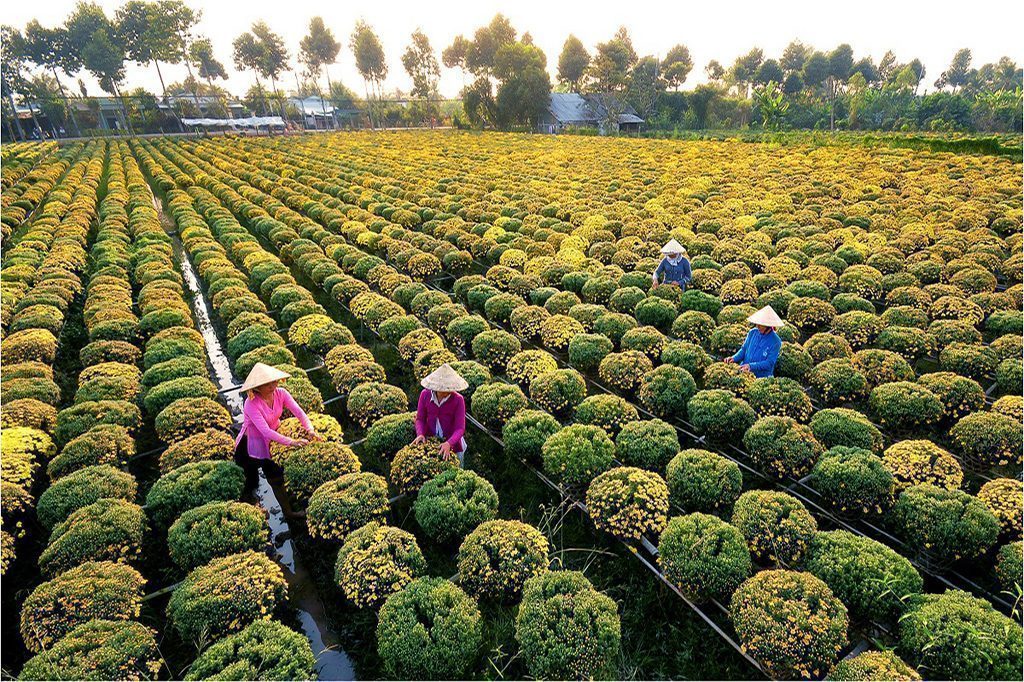 The Ultimate Travel Guide to Dong Thap – Best Things To Do