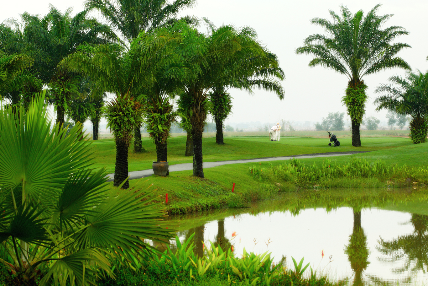 golf