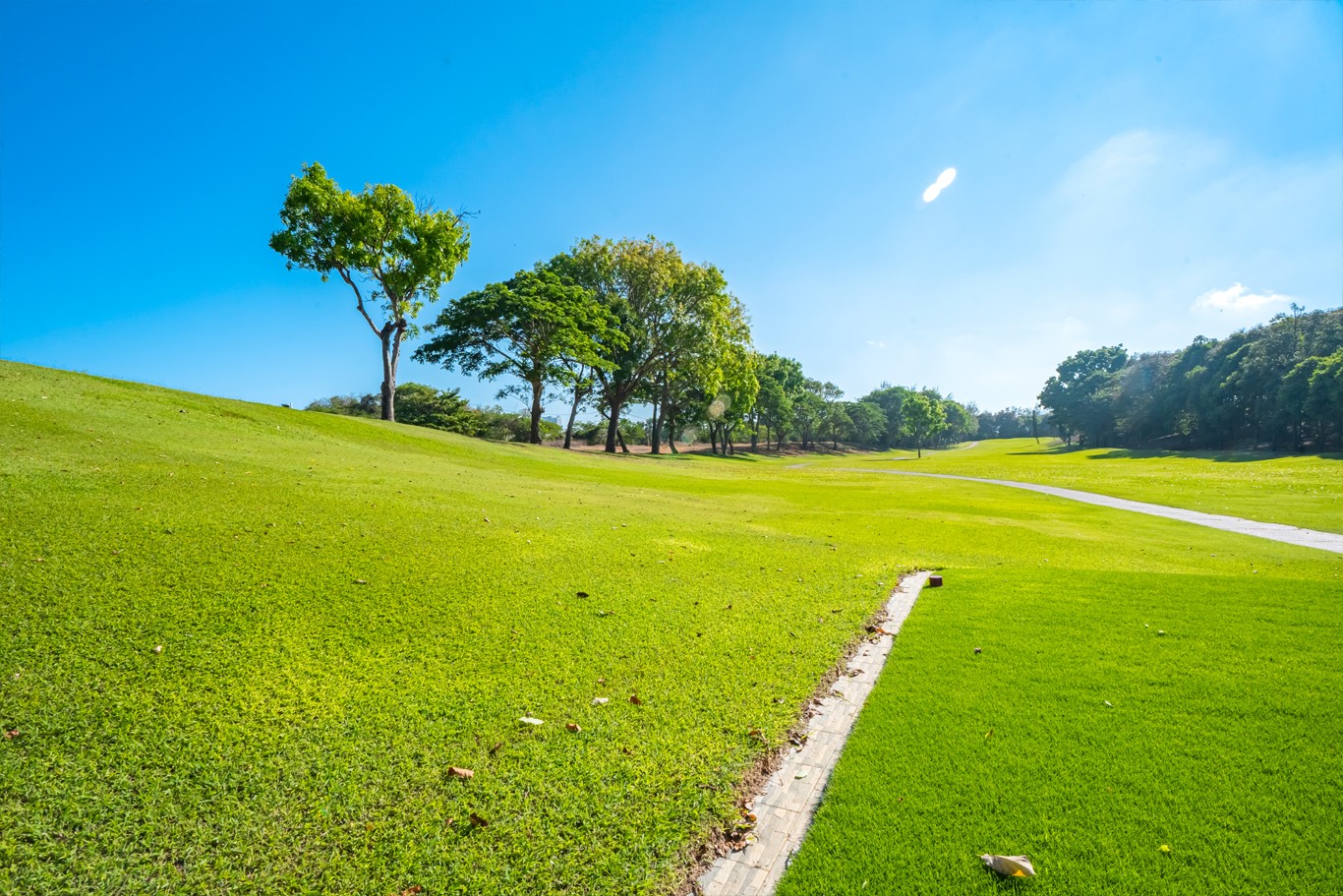 Vung Tau Paradise Golf