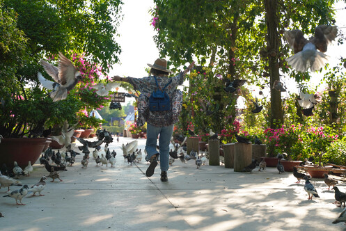Mekong Delta Adventure 3-Day 2-Night